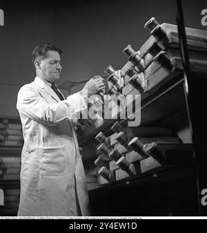 Howard Florey. 1898-1968. Australischer Pharmakologe, der 1945 den Nobelpreis für Physiologie oder Medizin mit Alexander Fleming und Ernst Chain erhielt. Obwohl Fleming den größten Teil der Anerkennung für die Entdeckung von Penicillin erhielt, waren es Florey und sein Team an der University of Oxford, die es zu einer nützlichen und wirksamen Droge machten, zehn Jahre nachdem Fleming seine Entwicklung aufgegeben hatte. Abgebildet im Labor des St. Marys Krankenhauses mit den Glasbehältern, die ursprünglich bei der Forschung von Penicillin verwendet wurden. KG Kristoffersson Ref. S8-5. (Gescannt von seinem negativen Original, verfügbar im Großformat auf Stockfoto