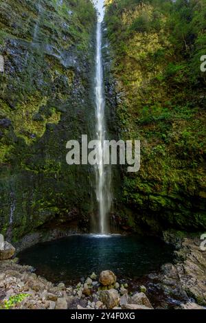 Wasserfall am Ende der Wanderung Levada do Caldeirao Verde auf Madeira, Portugal. Stockfoto