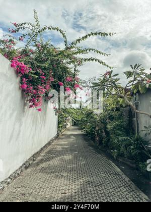 Straße des Ubud Dorfes in Bali, Straße von Bäumen umgeben Stockfoto