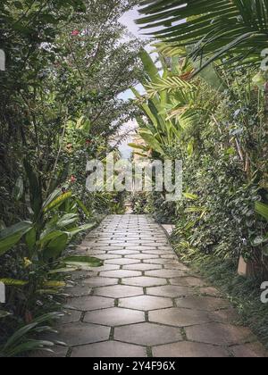 Straße des Ubud Dorfes in Bali, Straße von Bäumen umgeben Stockfoto