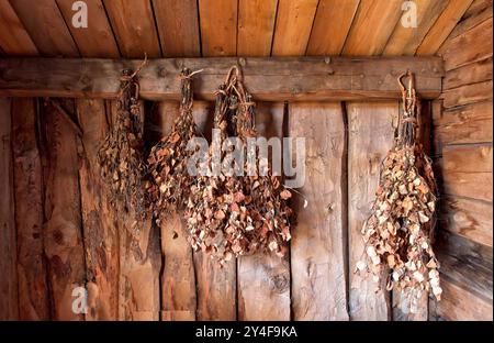 Alter getrockneter Saunabesen, auch bekannt als Vasta, Vichta oder Venik, hängt in einem Saunagebäude aus Holz. Stockfoto