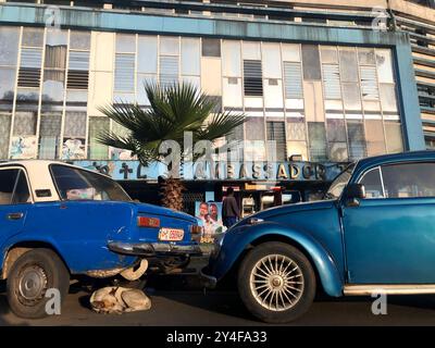 Äthiopien, Addis Abeba (oder Addis Abeba): Das Botschaftertheater („Theater Ambassadeur“) mit Palmen und streunenden Hunden, die unter einem Auto schlafen. Betrieben von Stockfoto