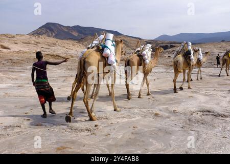 Djibouti, Lake Assal: Salzsee, der 155 m (509 ft) unter dem Meeresspiegel im Afar-Dreieck liegt und damit der niedrigste Punkt an Land in Afrika und dem Afar-Dreieck ist Stockfoto