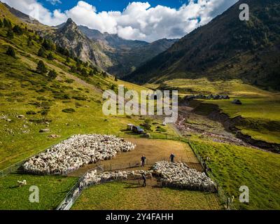 Département Hautes-Pyrenäen (Oberpyrenäen, Südwestfrankreich): Atmosphäre am Ende der Wanderschaft, vor Herbst, im Moudang-Tal, Oberteil Stockfoto