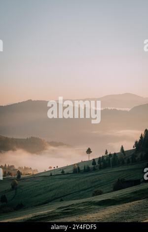 Nebeliger Morgen im Rolling Stockfoto