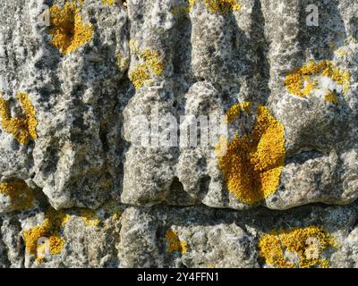 Die lebenden Felsformationen von Kullaberg, Schweden, zeigen die Kräfte der Natur und eine Geschichte des Schmuggels. Die Felsen sind teilweise mit Flechten bedeckt. Stockfoto