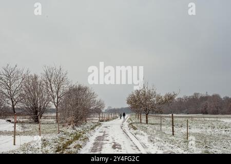 Harmonie der Winterelemente: Schneebedeckte Felder, landschaftlich reizvolle Landstraßen und der festliche Geist der Weihnachten. Wintersinfonie: Schneebedeckte Felder, Ländlich Stockfoto