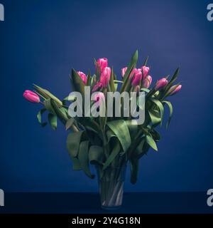Tulpen im Glas, Stillleben, minimales Stillleben mit Tulpen im Glas, fineart-Foto Stockfoto