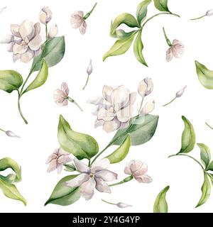 Jasminstrauß, Knospen, Blütenblätter Aquarellmuster isoliert. Weiße Blume im botanischen Stil, handgezeichnet auf sich wiederholender Textur. Jasminblüten Stockfoto