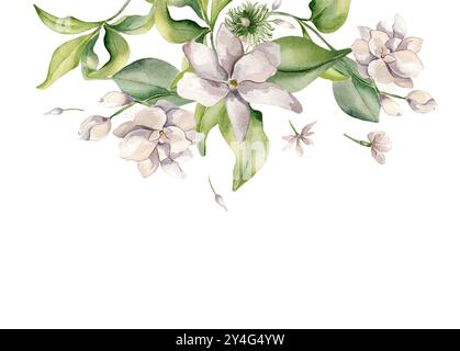 Aquarell-Jasmin-Blumen-Anordnung auf Banner isoliert. Blumeneinladung in blassrosa Tönen im botanischen Stil handgezeichnet. Gardenie-Blüte Stockfoto
