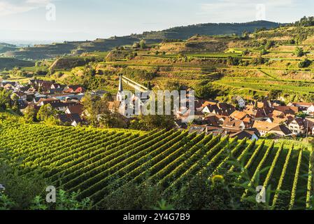 Weinberge, Blick auf das Dorf Bickensohl, Kaiserstuhl, Baden-Württemberg, Deutschland Stockfoto