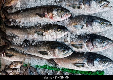 WASHINGTON DC, USA – frischer Fisch wird auf dem Maine Avenue Fish Market verkauft, einem bekannten Markt für Meeresfrüchte im Freien in der Nähe der Wharf in Washington DC. Der Markt, einer der ältesten kontinuierlich funktionierenden Fischmärkte in den USA, ist ein beliebtes Ziel für frische Meeresfrüchte und bietet eine große Auswahl an Fisch und anderen Produkten. Stockfoto