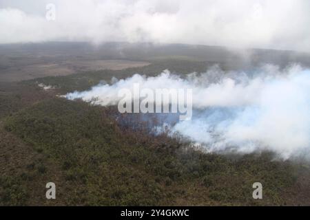 Kilauea, Vereinigte Staaten Von Amerika. September 2024. Kilauea, Vereinigte Staaten von Amerika. 17. September 2024. Magma, das aus einer Spaltöffnung über dem Boden des Napau-Kraters ausbricht, verbrennt Bäume im Kilauea Vulkan Middle East Rift Zone im Hawaii Volcanoes National Park, 15. September 2024 auf Hawaii. Quelle: Michael Zoeller/USGS/Alamy Live News Stockfoto