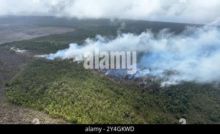 Kilauea, Vereinigte Staaten Von Amerika. September 2024. Kilauea, Vereinigte Staaten von Amerika. September 2024. Magma, das aus einer Spaltöffnung über dem Boden des Napau-Kraters ausbricht, verbrennt Bäume im Kilauea Vulkan Middle East Rift Zone im Hawaii Volcanoes National Park, 15. September 2024 auf Hawaii. Quelle: Matthew Patrick/USGS/Alamy Live News Stockfoto