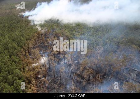Kilauea, Vereinigte Staaten Von Amerika. September 2024. Kilauea, Vereinigte Staaten von Amerika. 17. September 2024. Magma, das aus einer Spaltöffnung über dem Boden des Napau-Kraters ausbricht, verbrennt Bäume im Kilauea Vulkan Middle East Rift Zone im Hawaii Volcanoes National Park, 15. September 2024 auf Hawaii. Quelle: Michael Zoeller/USGS/Alamy Live News Stockfoto