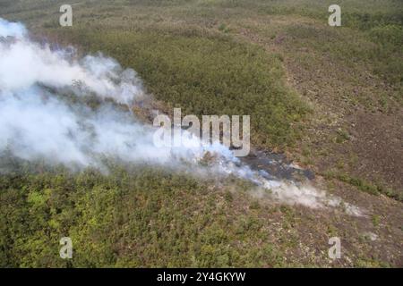 Kilauea, Vereinigte Staaten Von Amerika. September 2024. Kilauea, Vereinigte Staaten von Amerika. 17. September 2024. Magma, das aus einer Spaltöffnung über dem Boden des Napau-Kraters ausbricht, verbrennt Bäume im Kilauea Vulkan Middle East Rift Zone im Hawaii Volcanoes National Park, 15. September 2024 auf Hawaii. Quelle: Michael Zoeller/USGS/Alamy Live News Stockfoto