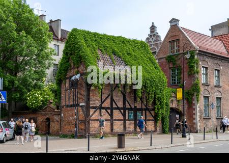 Ein bezauberndes, mit Efeu bewachsenes historisches Haus in Danzig, Polen, mit traditioneller Backstein- und Holzarchitektur in einer belebten Straßenlage. Stockfoto