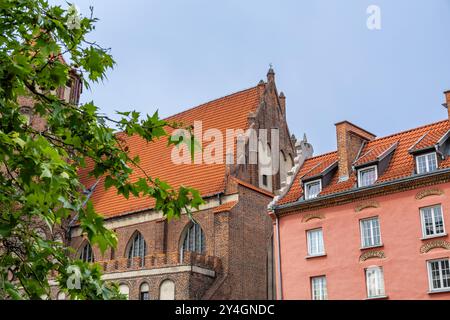 Historische Backsteinkirche und traditionelle Giebelhäuser in Danzig, Polen, eingerahmt von üppigem Grün an einem klaren Tag. Stockfoto