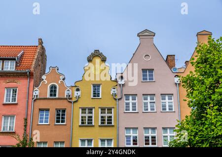 Farbenfrohe Giebelhäuser in der Altstadt von Danzig, die an einem sonnigen Tag traditionelle europäische Architektur zeigen. Stockfoto