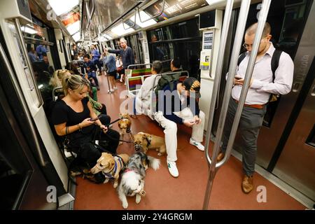 DOG WALKER IN DER PARISER METRO Stockfoto