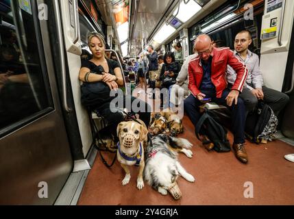 DOG WALKER IN DER PARISER METRO Stockfoto