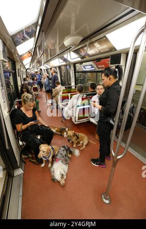 DOG WALKER IN DER PARISER METRO Stockfoto