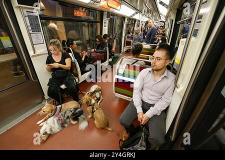 DOG WALKER IN DER PARISER METRO Stockfoto