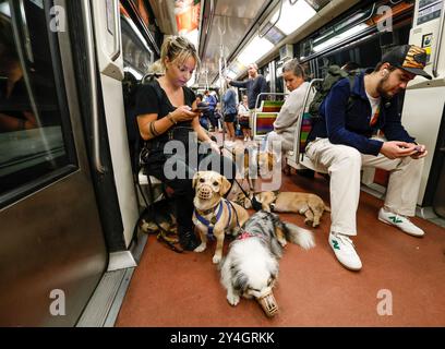 DOG WALKER IN DER PARISER METRO Stockfoto