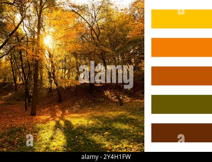 Schatten des Herbstes. Wunderschöne Herbstlandschaft und passende Farbpalette Stockfoto