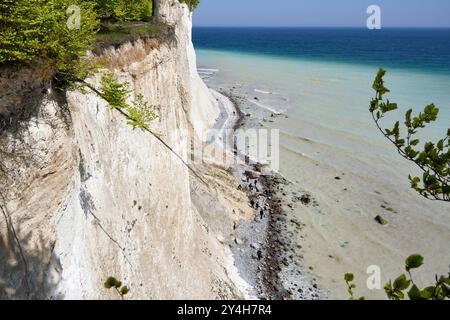 Blick auf den Strand unterhalb der Kreidefelsen, am Hochuferweg, Nationalpark Jasmund, Insel Rügen, Ostseeküste, Mecklenburg-Vorpommern, Deutschland Stockfoto