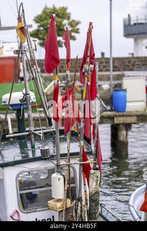 Fischerboote im Stadthafen Sassnitz, Insel Rügen, Markierungsbojen für die Netze, mit roten Fahnen, Mecklenburg-Vorpommern, Deutschland, EU Stockfoto