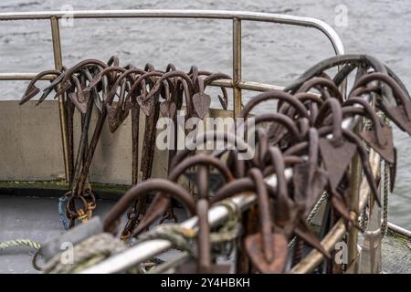 Fischerboote im Stadthafen Sassnitz, Insel Rügen, Netzanker, Mecklenburg-Vorpommern, Deutschland, Europa Stockfoto