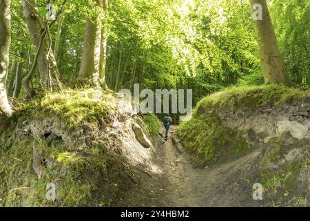 Der Hochuferwanderweg von Baabe über Sellin nach Binz, durch dichten Buchenwald, entlang der Klippen, mit vielen Ausblicken auf die Ostsee, hier der Abschnitt Stockfoto