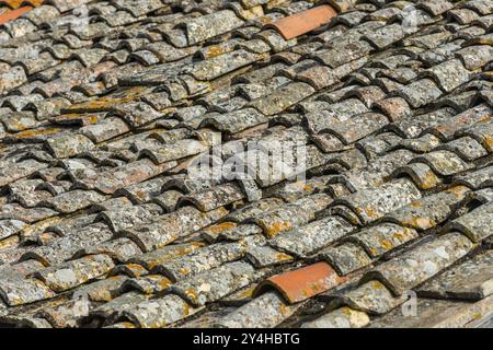 Alte Dachziegel, Dach, alt, Moos, Textur, Hintergrund, Grafik, Gebäude, baufällig, Oberfläche, Nahaufnahme, Toskana, Italien, Europa Stockfoto