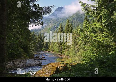 Unbekanntes, malerisches Tal mit steilen Berghängen, durch die ein Bach fließt, Vancouver Island Stockfoto