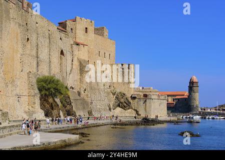 Chateau Royal de Collioure, ein französisches Königsschloss in der Stadt Collioure, Frankreich, Europa Stockfoto