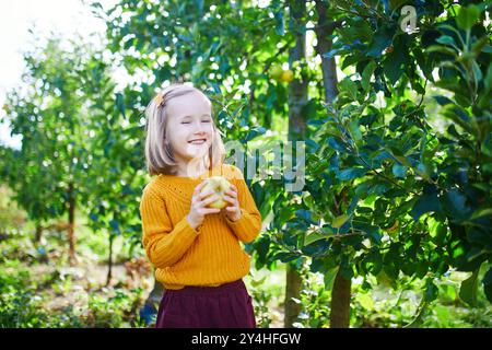 Niedliches Mädchen im Vorschulalter, das an einem Herbsttag gelbe reife Bio-Äpfel im Obstgarten oder auf der Farm pflückt. Stockfoto