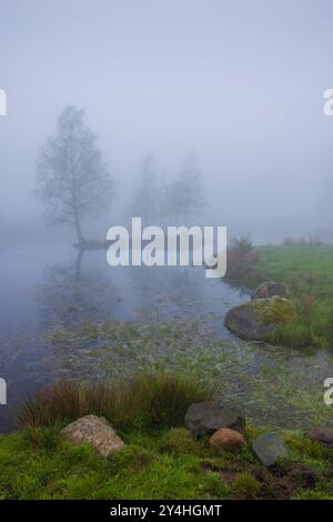 Plateau des Grilloux, Plateau der tausend Teiche (Plateau des Mille etangs), Haute Saone, Bourgogne-Franche-Comte, Frankreich Stockfoto