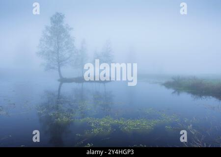 Plateau des Grilloux, Plateau der tausend Teiche (Plateau des Mille etangs), Haute Saone, Bourgogne-Franche-Comte, Frankreich Stockfoto