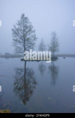 Plateau des Grilloux, Plateau der tausend Teiche (Plateau des Mille etangs), Haute Saone, Bourgogne-Franche-Comte, Frankreich Stockfoto