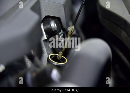 Prüfen Sie den Ölstand im Motor in Nahaufnahme. Stangenölstand im Pkw-Motor. Stockfoto