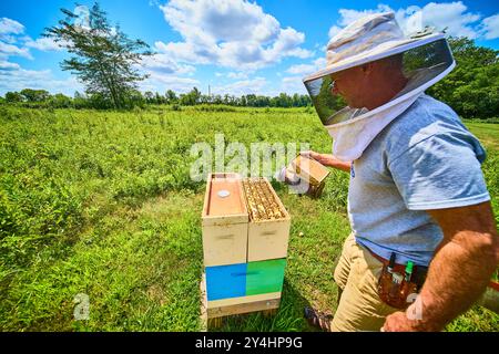 Imker pflegt Bienenstöcke mit Raucher in üppiger Landschaft mit Blick auf Augenhöhe Stockfoto