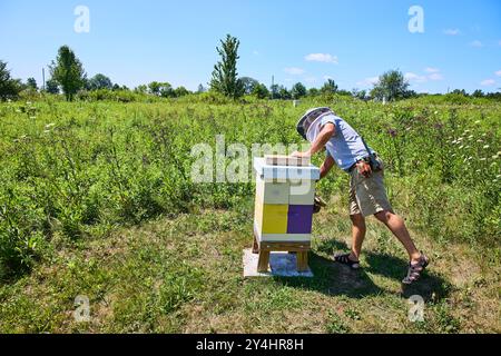 Imker, der Vibrant Bienenstock in der Perspektive der Meadow Eye-Ebene pflegt Stockfoto