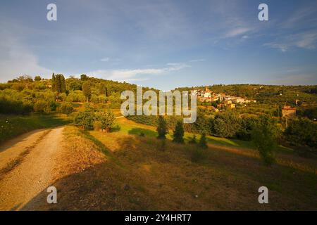 Mittelalterliches Dorf Scrofiano, Provinz Arezzo, Toskana, Italien Stockfoto