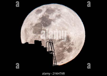 Sydney, New South Wales, Australien. September 2024. Der September-Supermond, auch bekannt als „Harvest Moon“, erhebt sich hinter einem Gebäude mit einer Leiter in Sydney in den Himmel. (Credit Image: © Ayush Kumar/SOPA Images via ZUMA Press Wire) NUR REDAKTIONELLE VERWENDUNG! Nicht für kommerzielle ZWECKE! Stockfoto