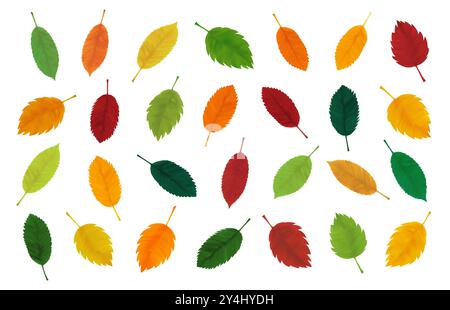 Herbst realistische gelbe, rote, orange, grüne Blätter. Herbstblatt-Set für Aufkleber, Banner, Flyer. Dekorative saisonale botanische Elemente Stock Vektor