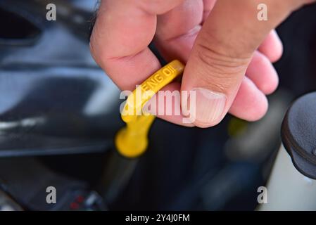 Prüfen des Ölstands im Fahrzeugmotor Stockfoto