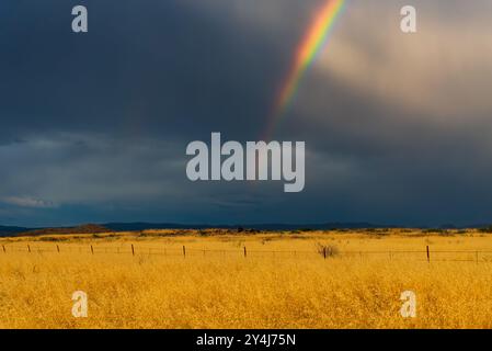 Blick auf den Regenbogen unter stürmischem Himmel entlang der I-17 in Arizona, USA Stockfoto