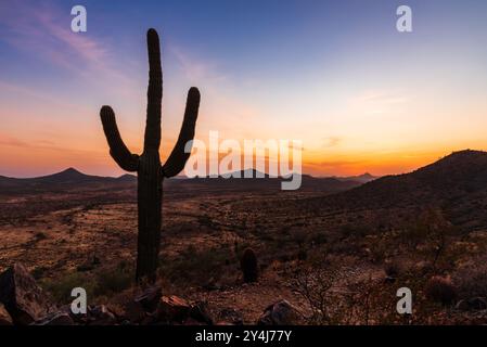 Blick auf den Sonnenuntergang mit Saguaro-Kakteen vom Apache Wash Trail in Phoenix, Arizona Stockfoto