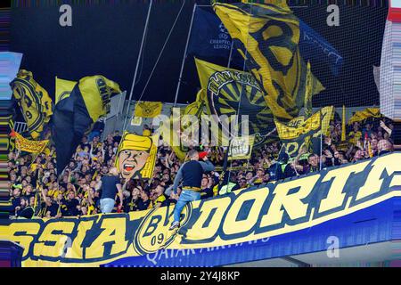 Brügge, Belgien. September 2024. Die Fans von Borussia wurden während eines Fußballspiels zwischen dem belgischen Club Brugge KV und der Deutschen Borussia Dortmund am Mittwoch, den 18. September 2024, in Brügge am Tag der ersten Phase der UEFA Champions League gezeigt. BELGA FOTO KURT DESPLENTER Credit: Belga Nachrichtenagentur/Alamy Live News Stockfoto